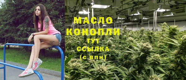индика Арсеньев