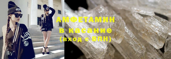 индика Арсеньев