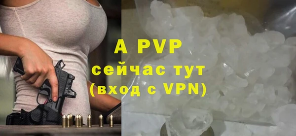 индика Арсеньев