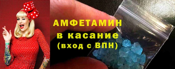 индика Арсеньев