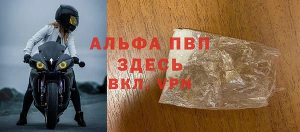 индика Арсеньев