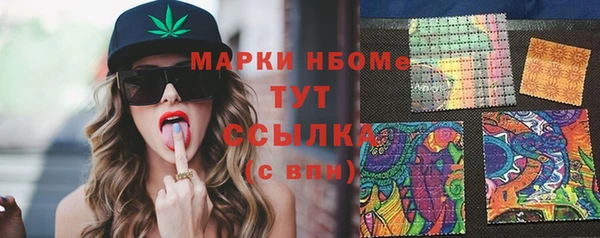 индика Арсеньев