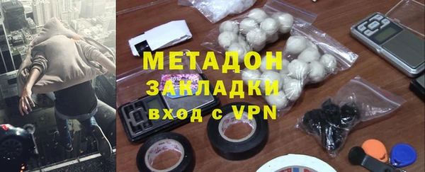 индика Арсеньев