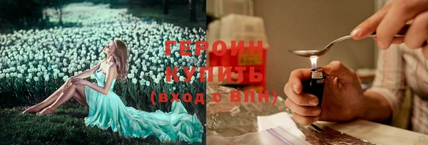 индика Арсеньев